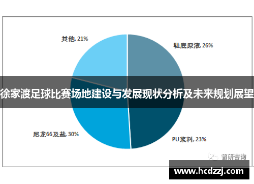 徐家渡足球比赛场地建设与发展现状分析及未来规划展望